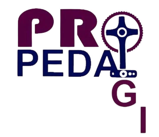 Propedal Kab Sorong